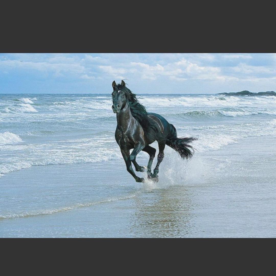 隆盛商贸🚗🚗🚗