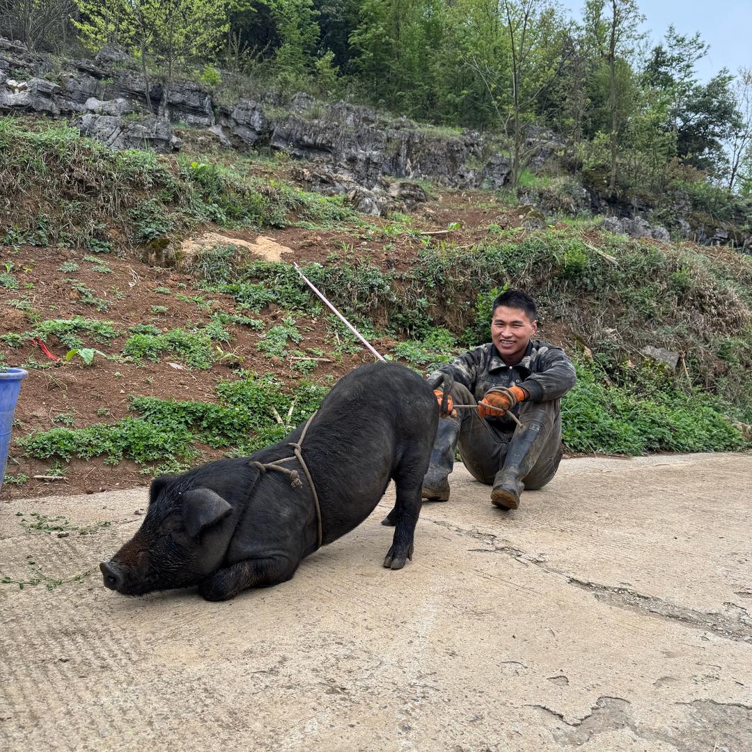 小顾