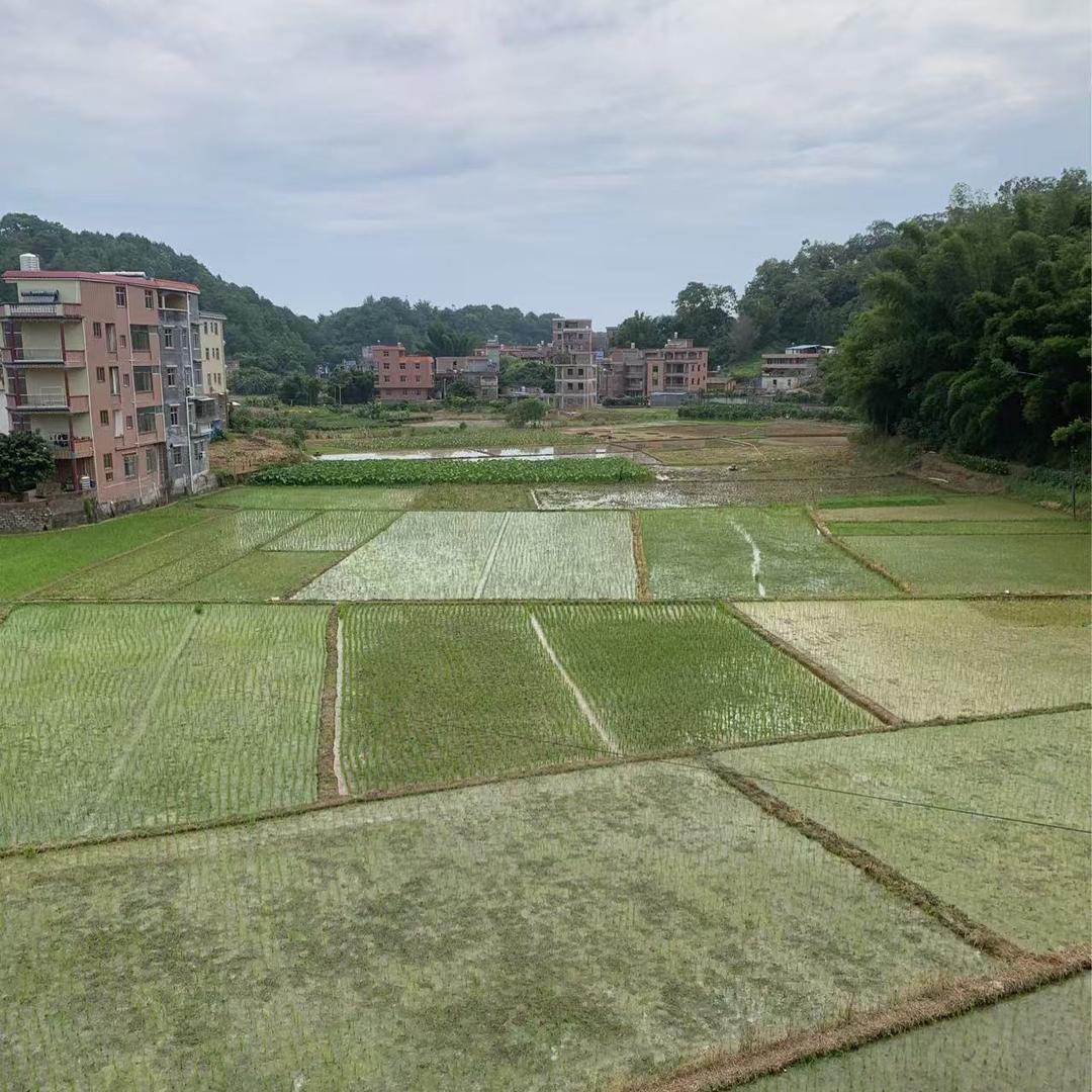 飞黄滕达