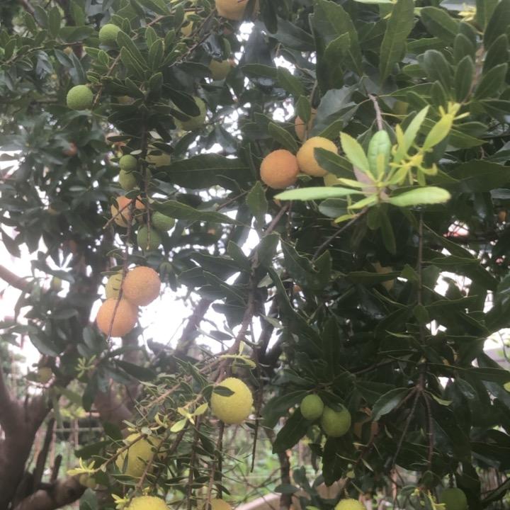 想钱哥