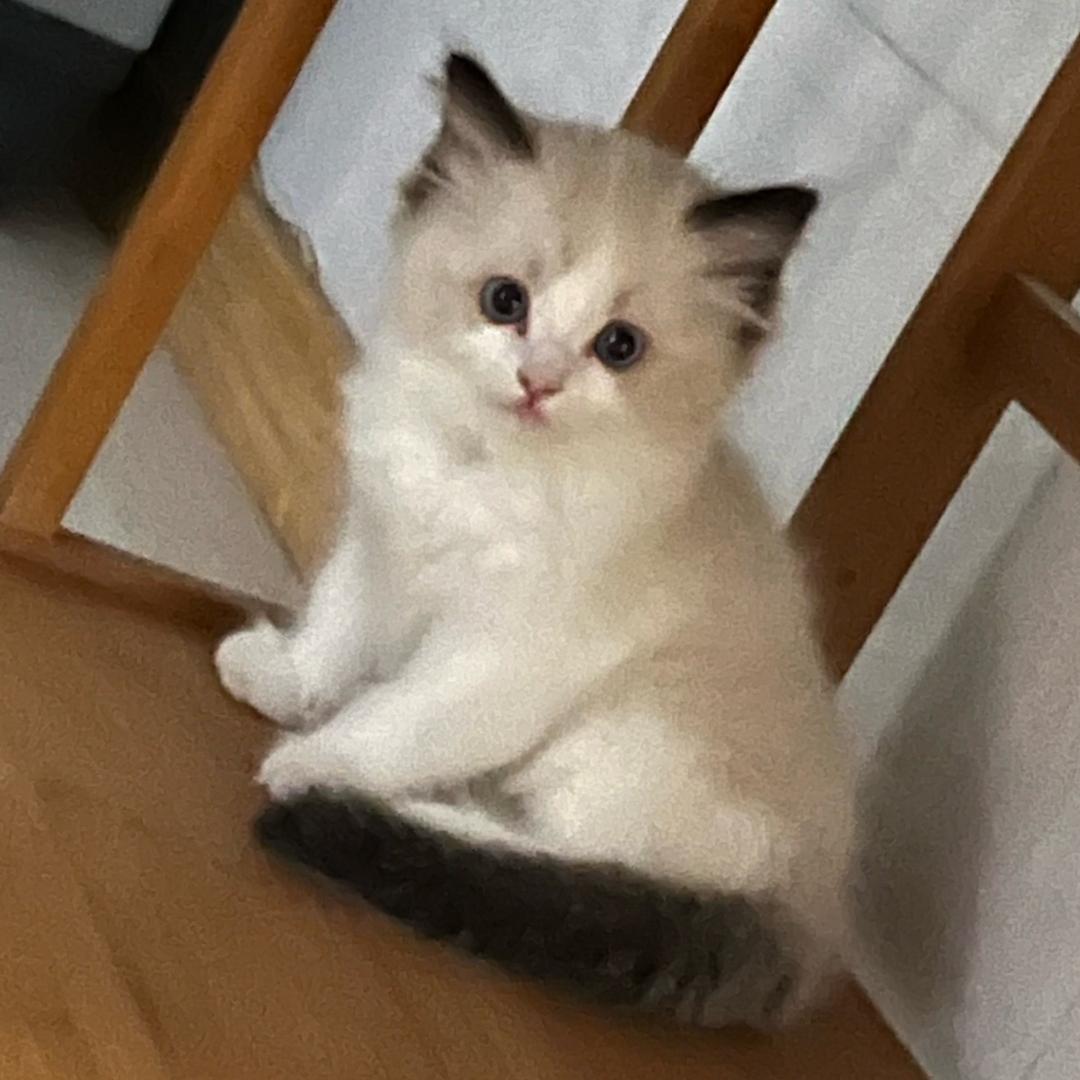 让我们说中文