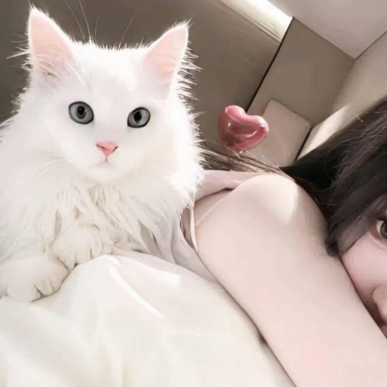 ￴￴ ￴￴￴￴ ￴￴ ￴￴