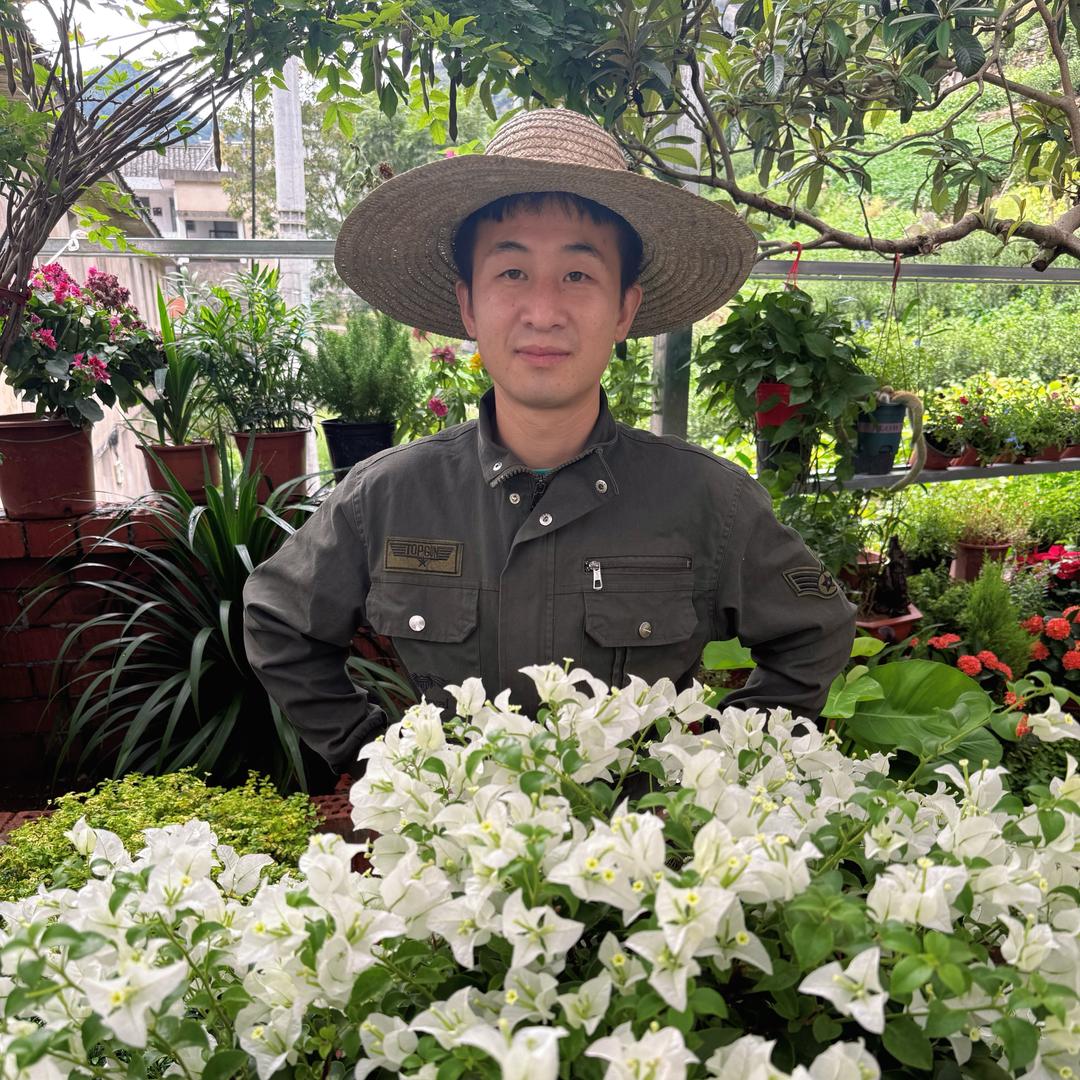 花满楼园艺