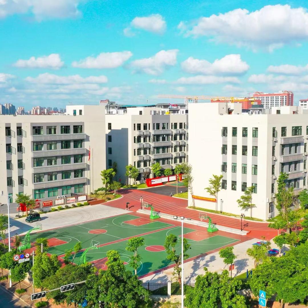 南山学校|丽老师
