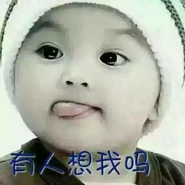 开心小毛