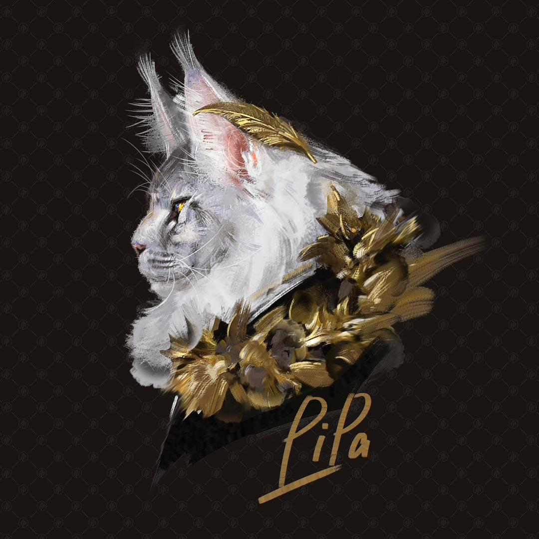 噼啪家的缅因猫