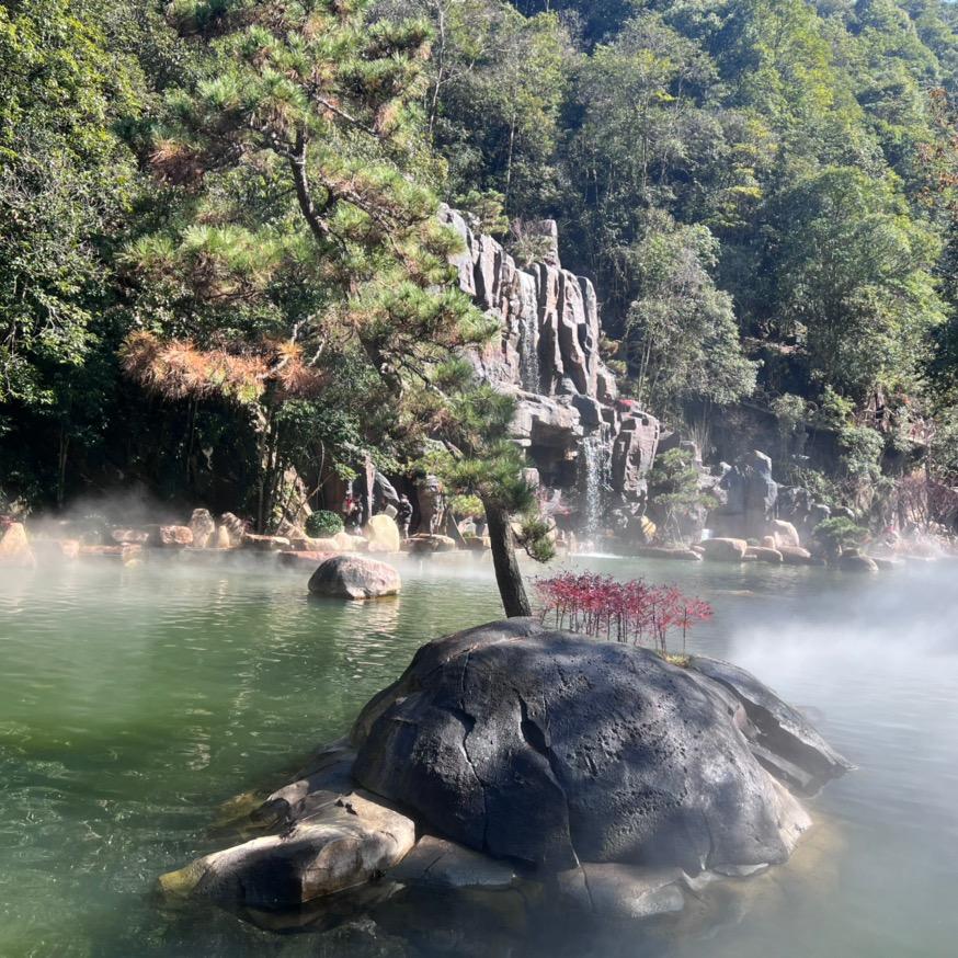 蔡蔡