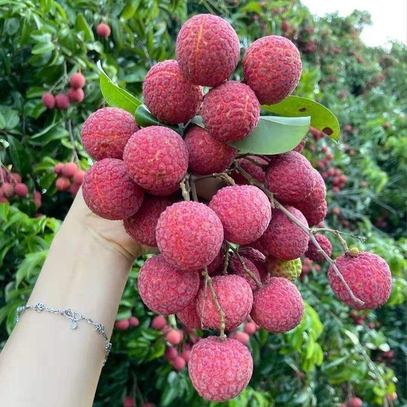 博运商贸水果超市