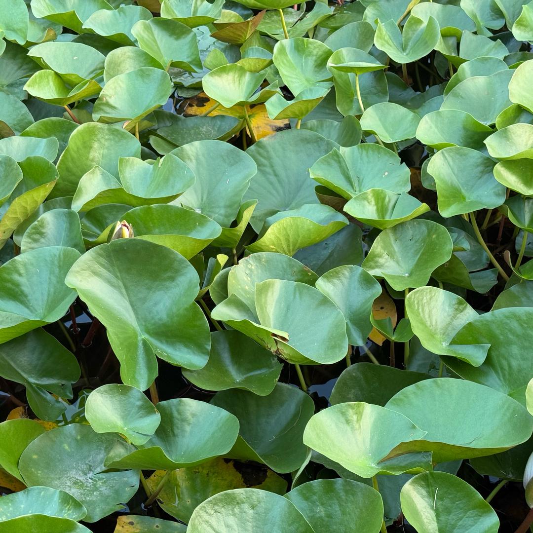 晓佳正能量！166