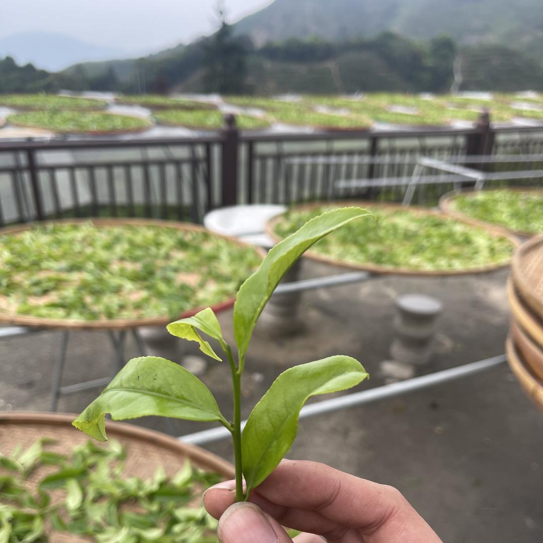 斌界山中农哥专卖店