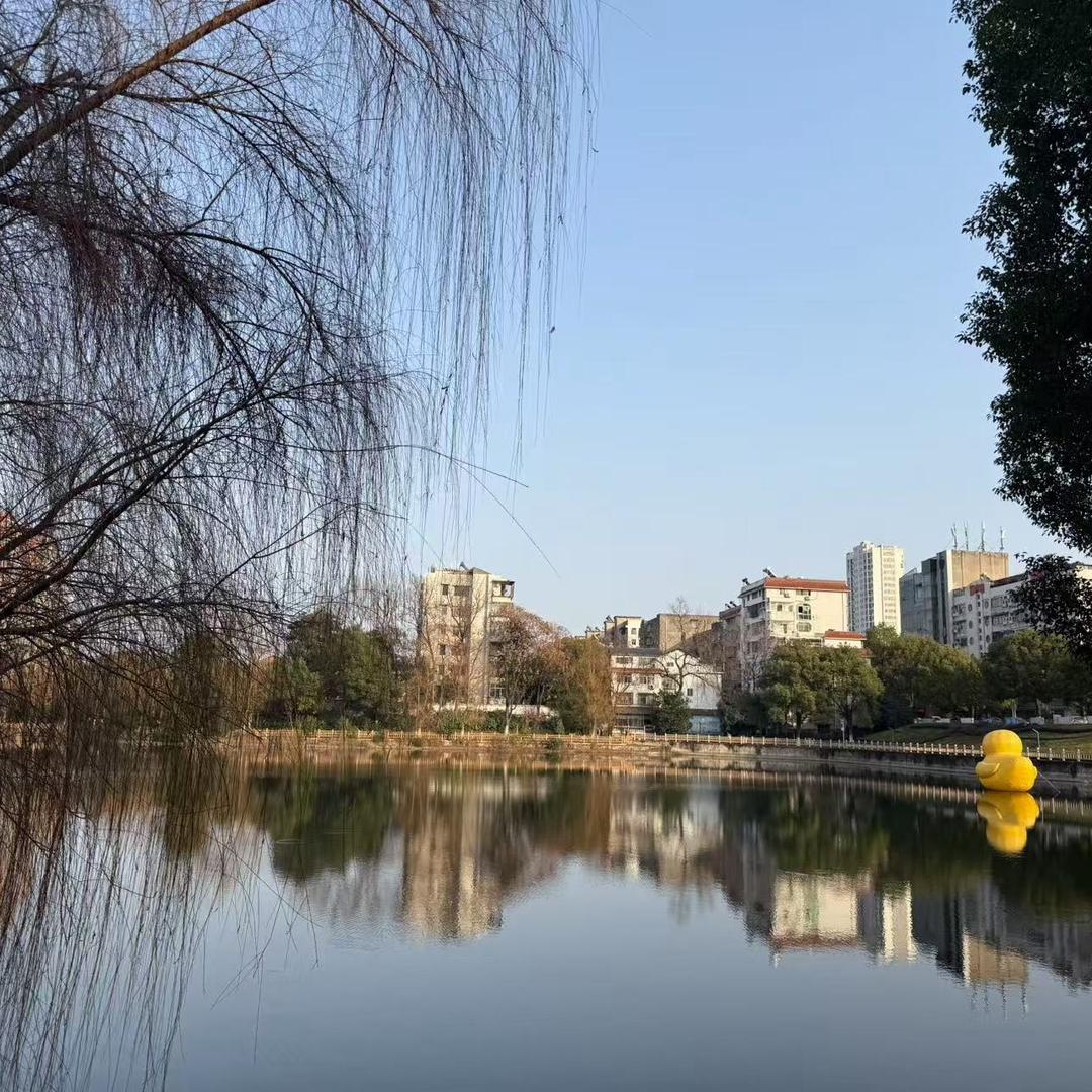 小陌