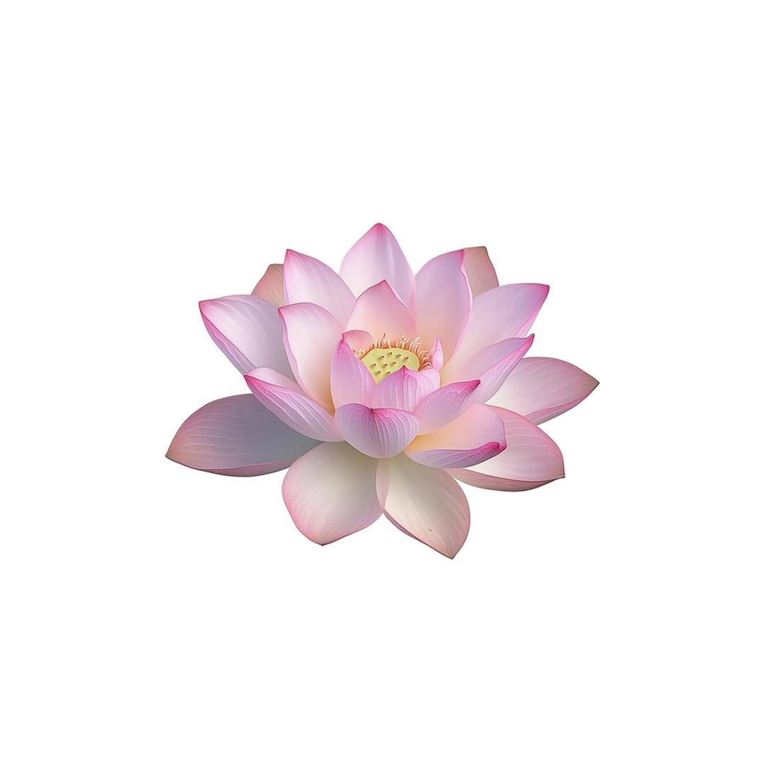 重生之成为财神奶的独孙女