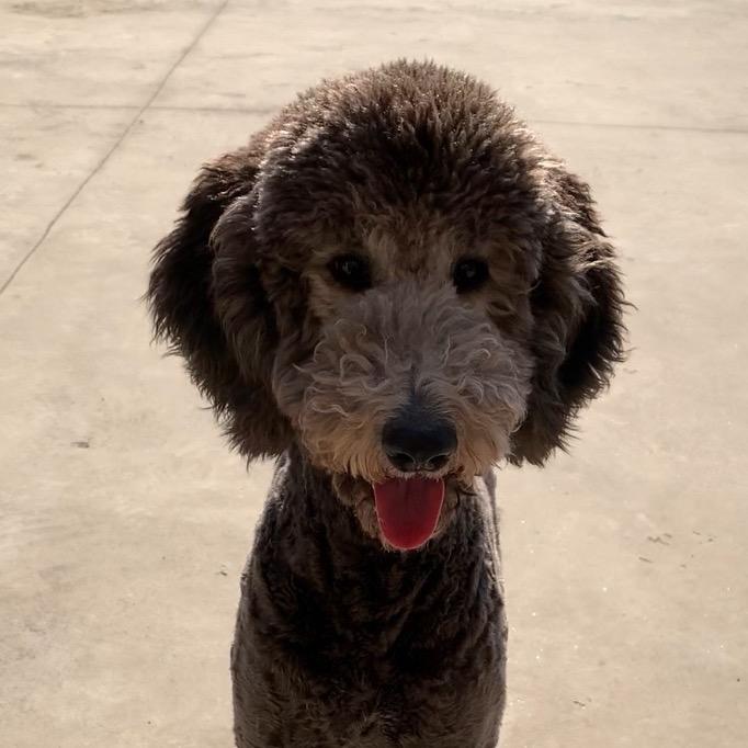 我的世界～葫芦✌️耶