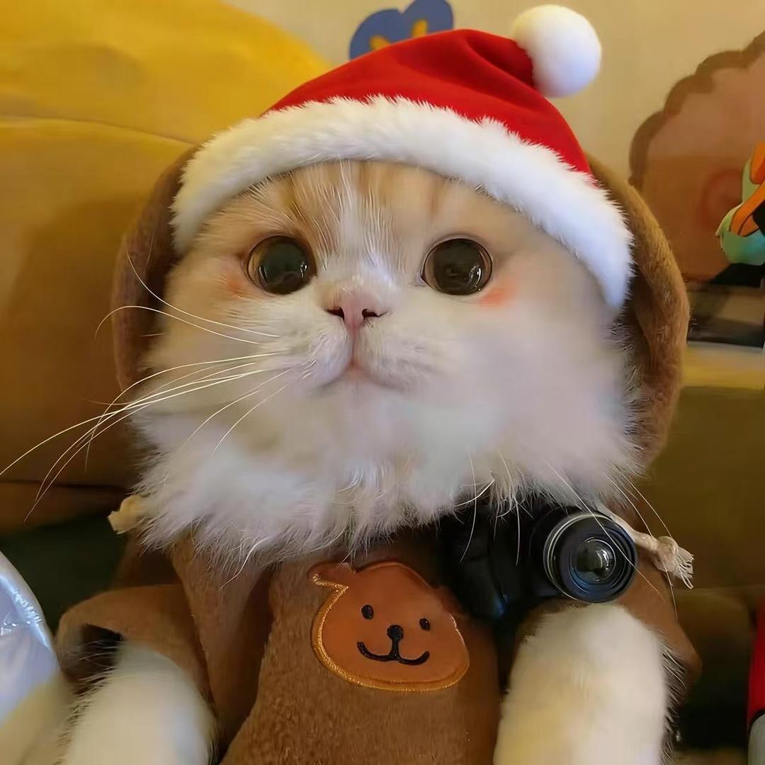 知羽（三角洲行动）