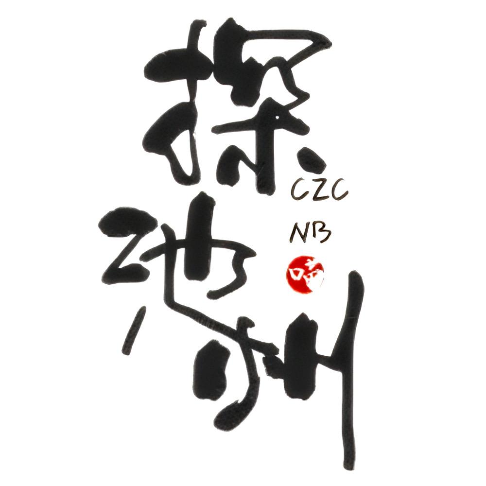 探池州
