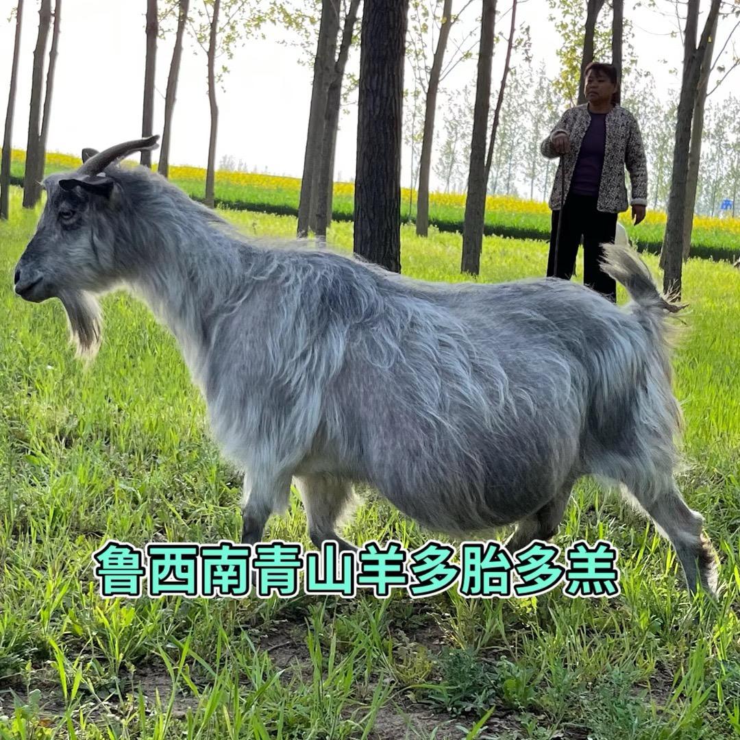 俊嘉养殖场官方账号
