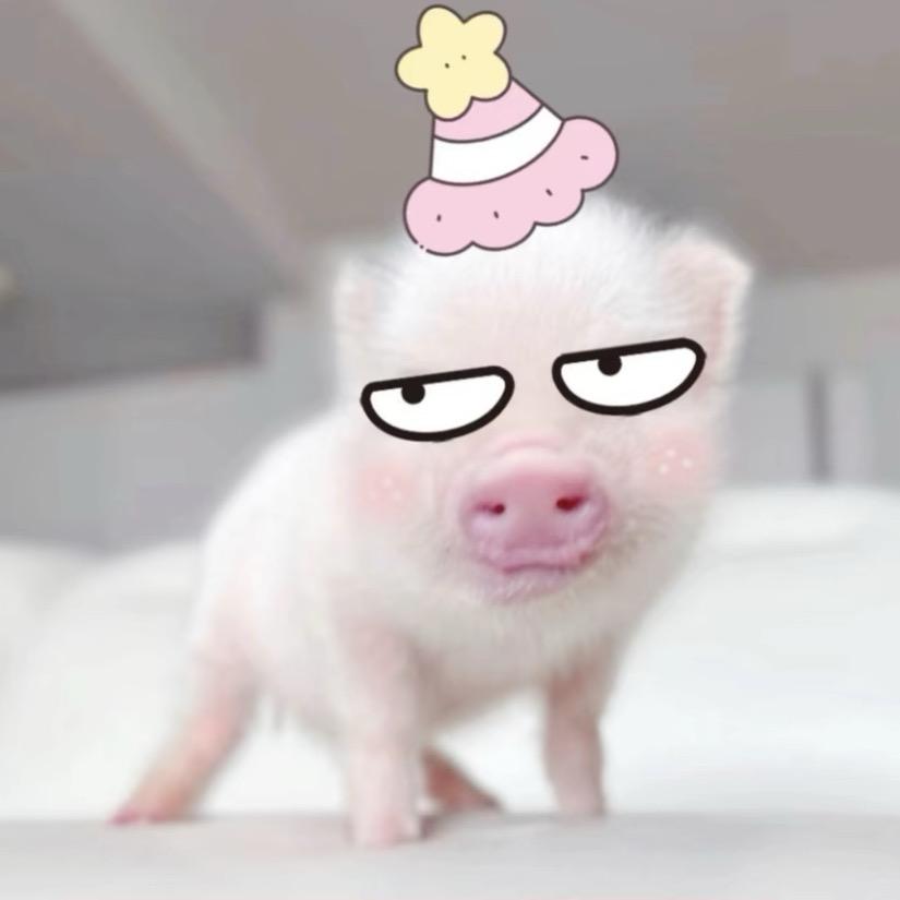 柯y