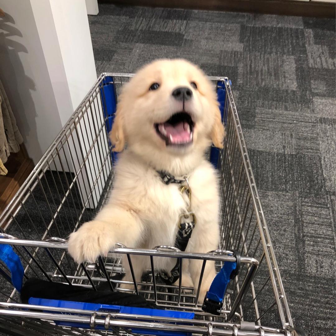 巨猛超人