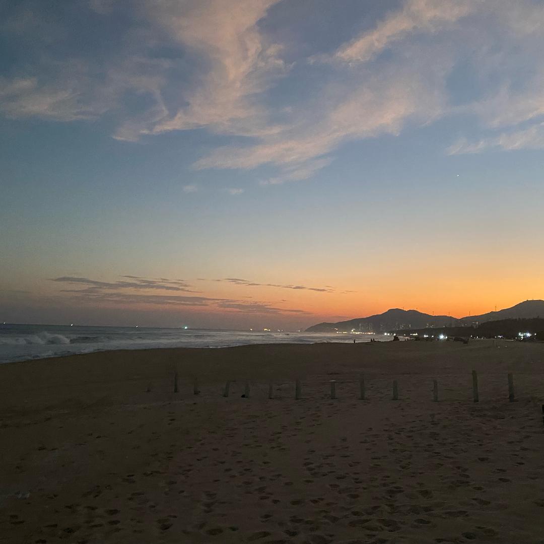 海带