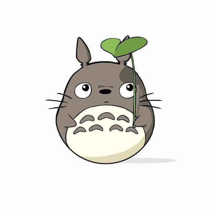 小石头、