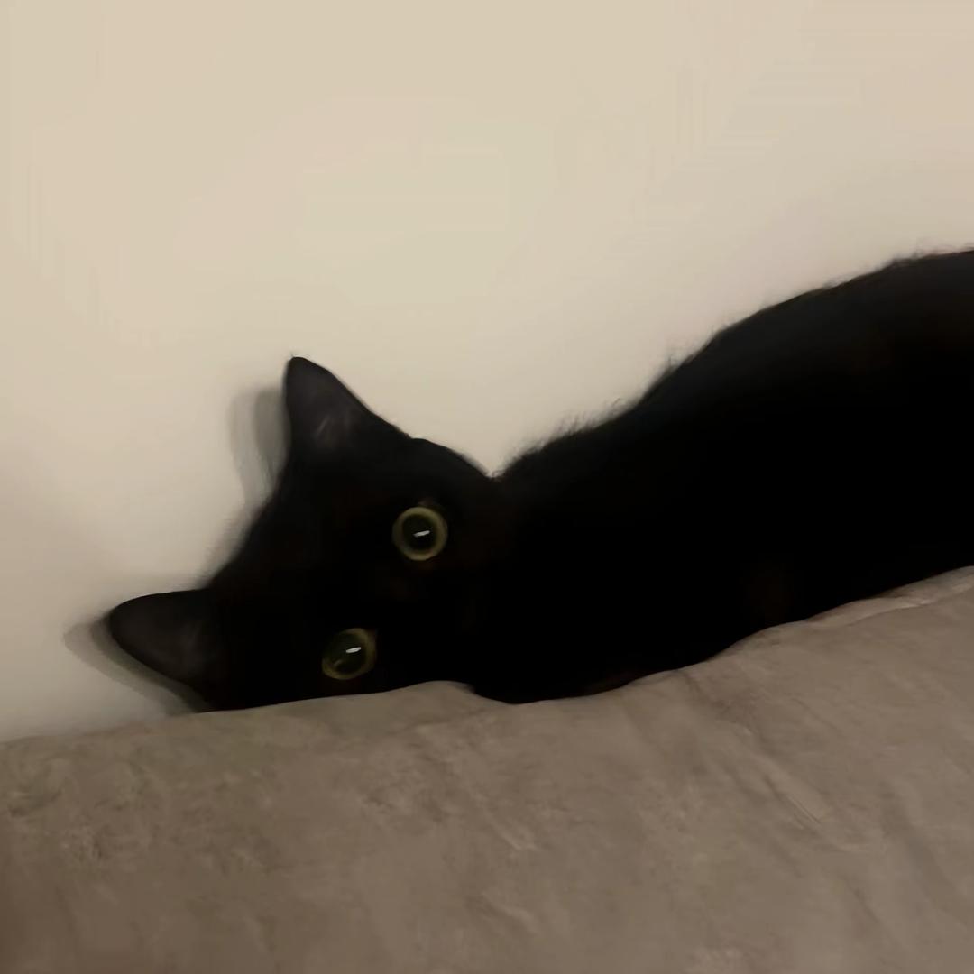 恩.