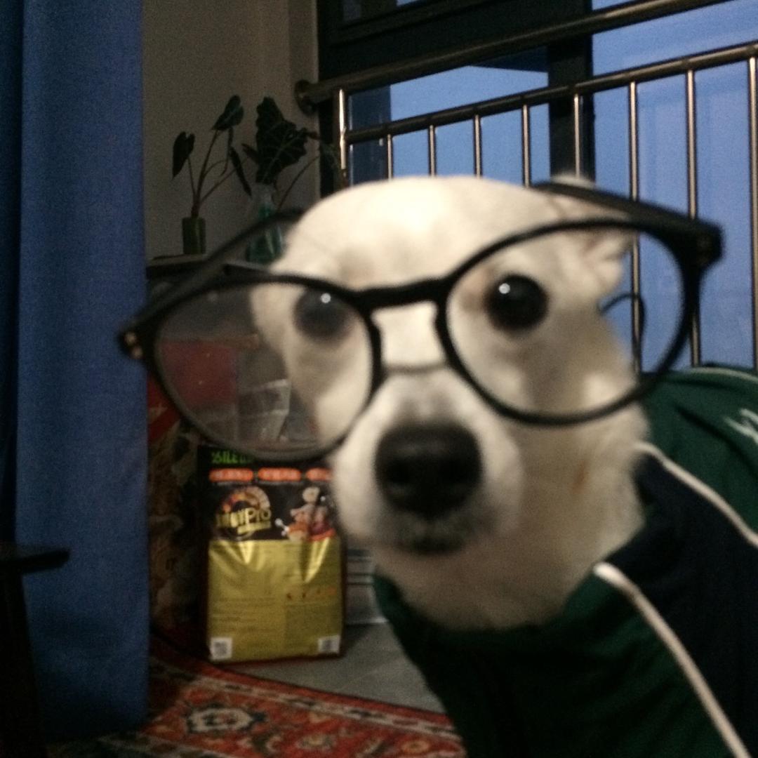 法云-