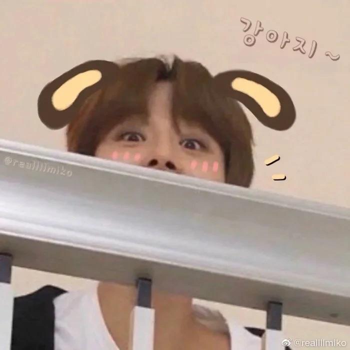 J^tyou🐶
