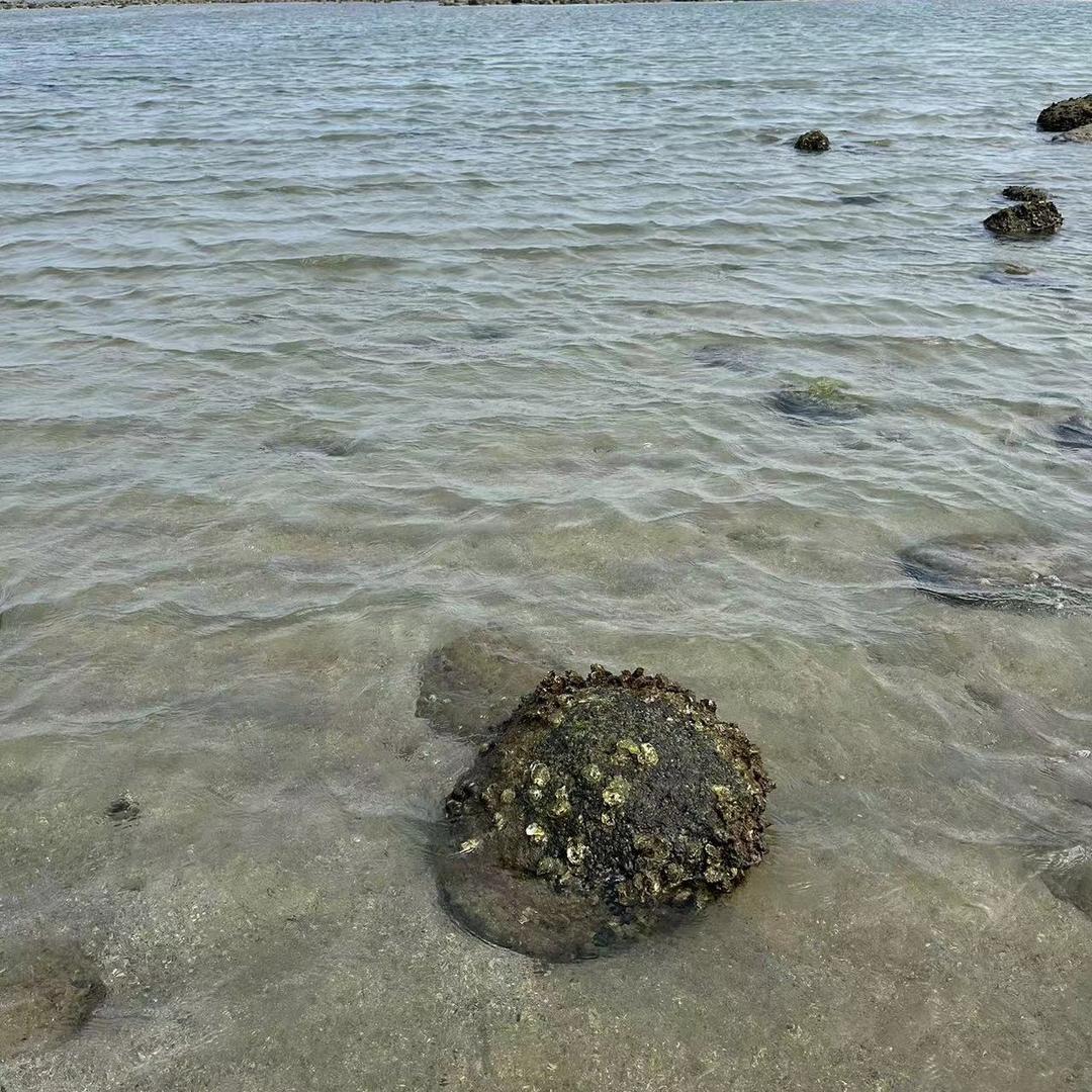 当爸爸的老男孩