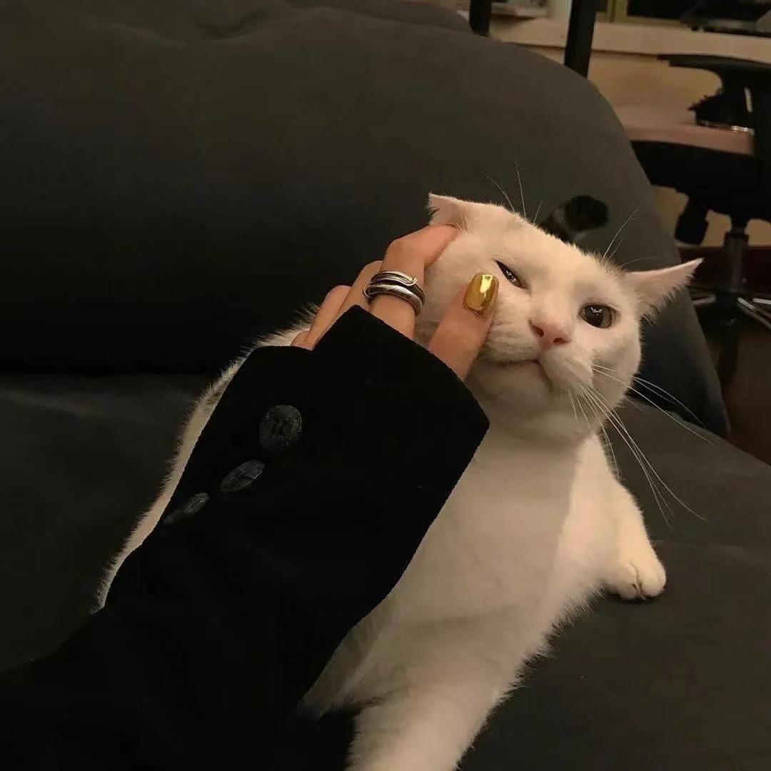 甜心𝑩𝒂𝒃𝒚