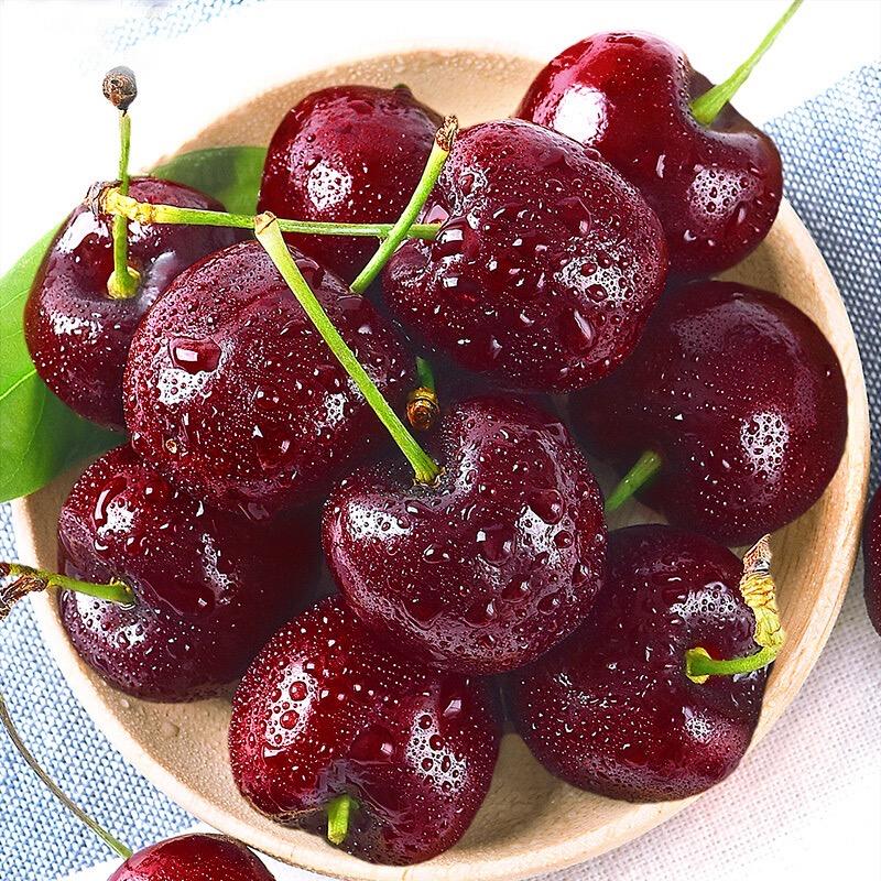 垚欢果树苗木专营店二