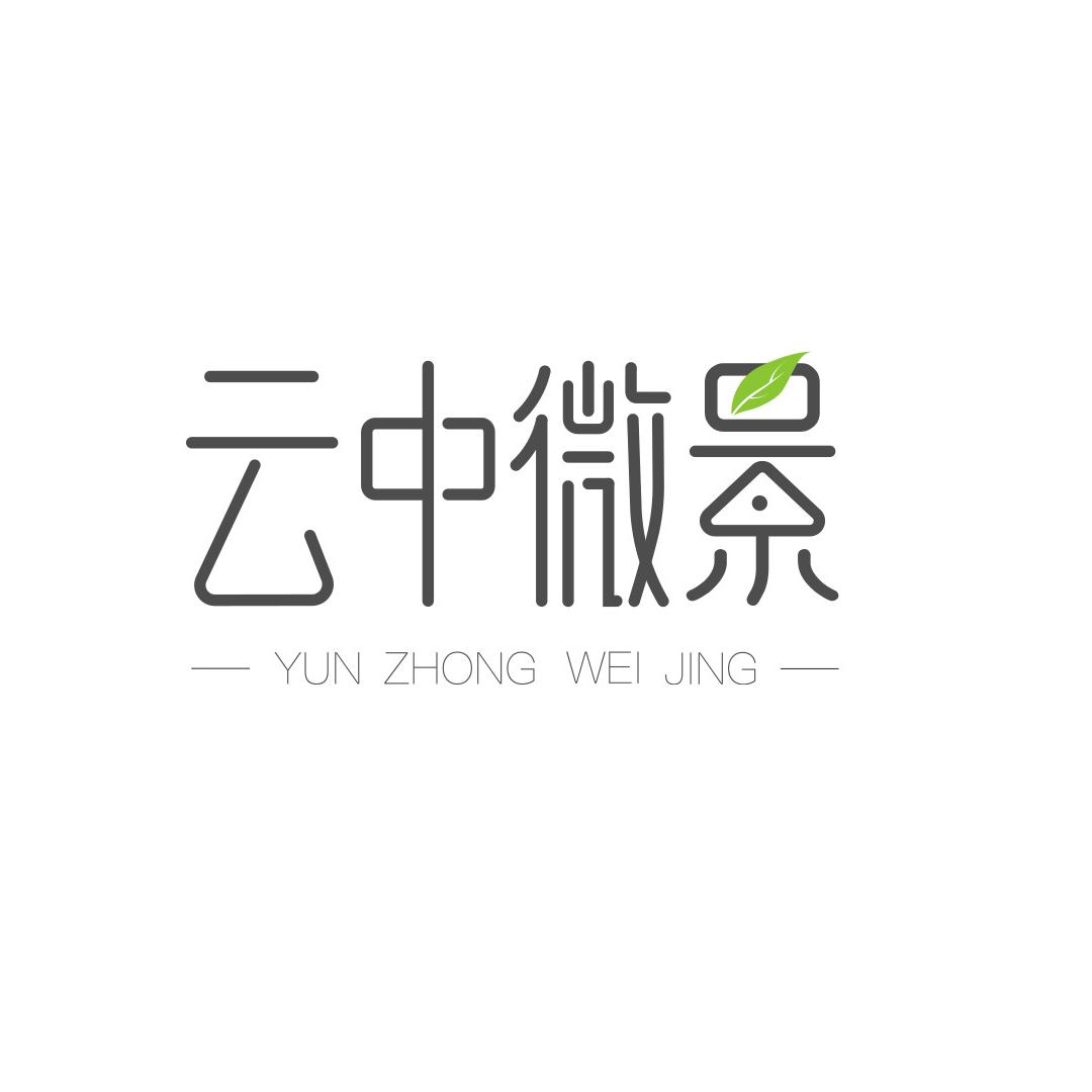 云中微景