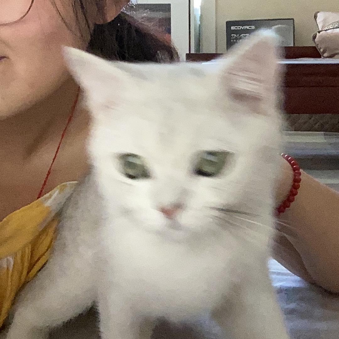 哦哦哦哦._.
