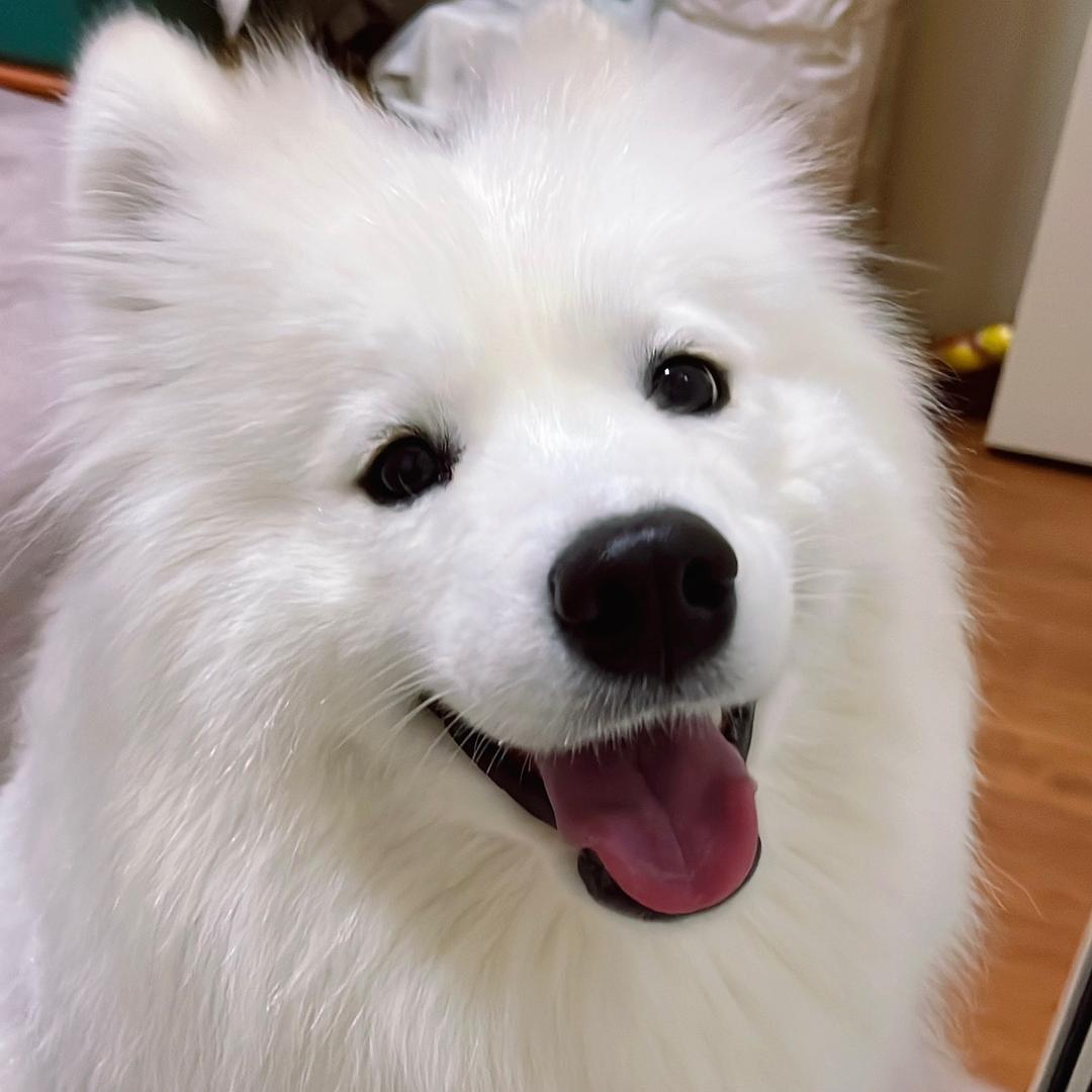 @@微笑天使 大白