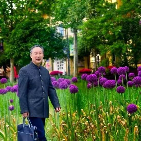 小桃（小井井）