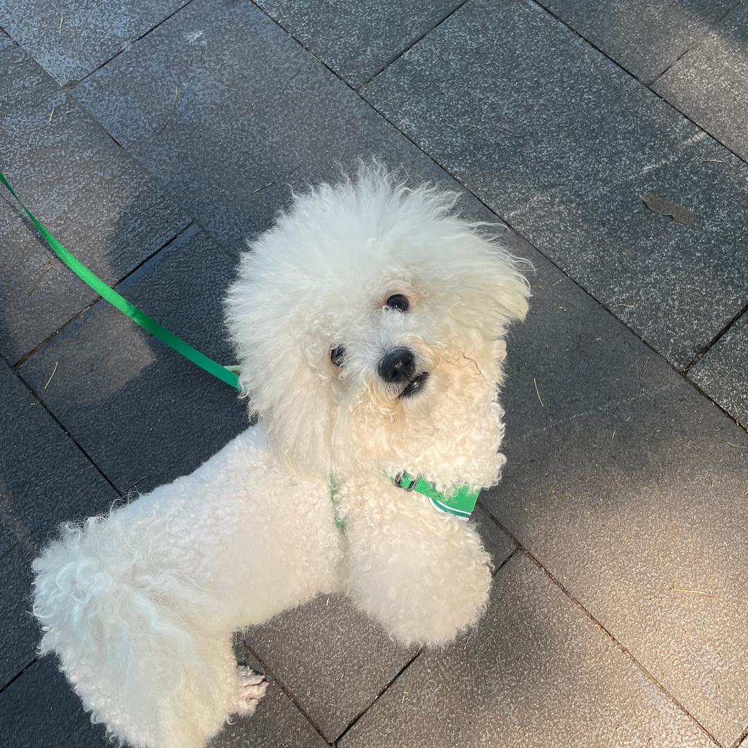 宁波小丽｜智慧厨房专家