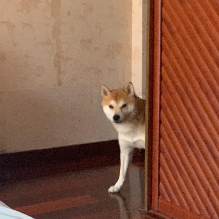 佛系青年