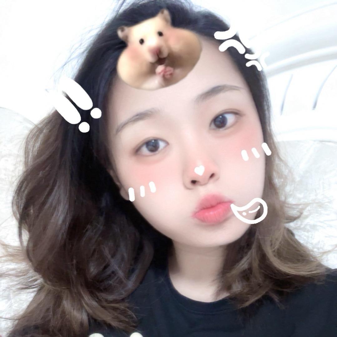 笨猪猪