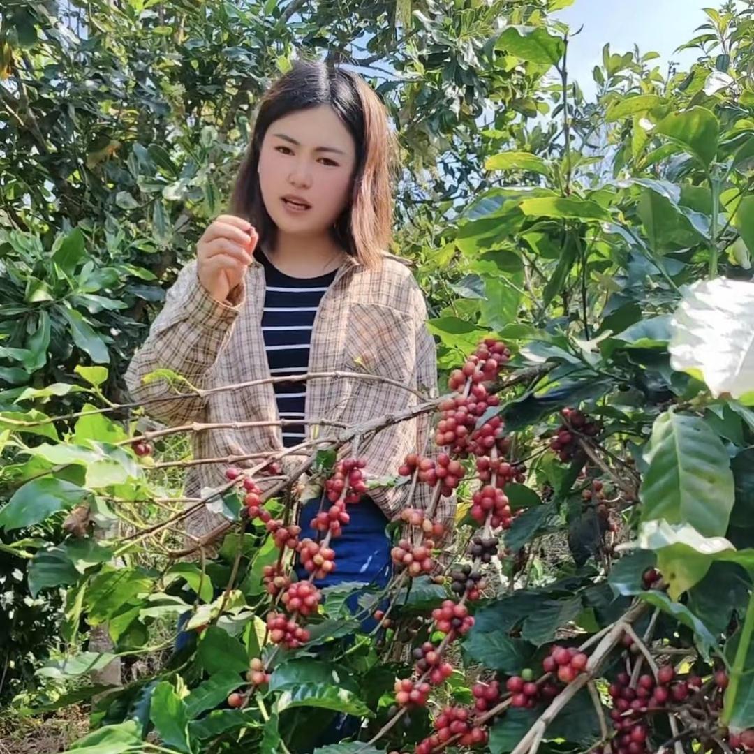小叶子凉拌菜（可教学）