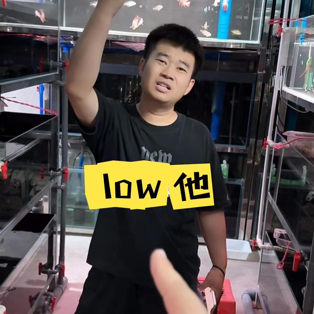 熊美人水族（鱼小鱼版）