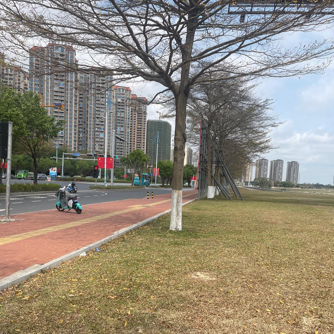 缘份的天空
