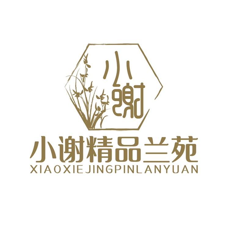 长春君子兰小谢兰苑