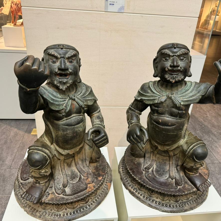 绵马贯众