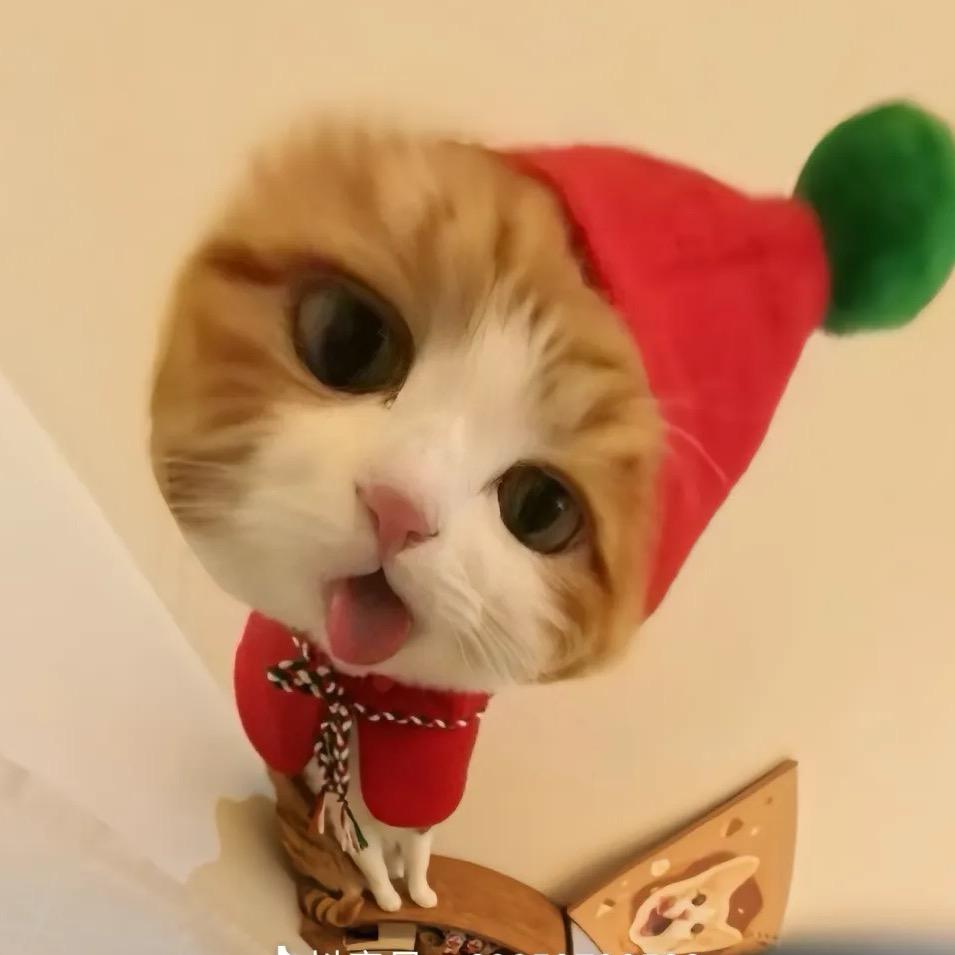 恶毒后妈