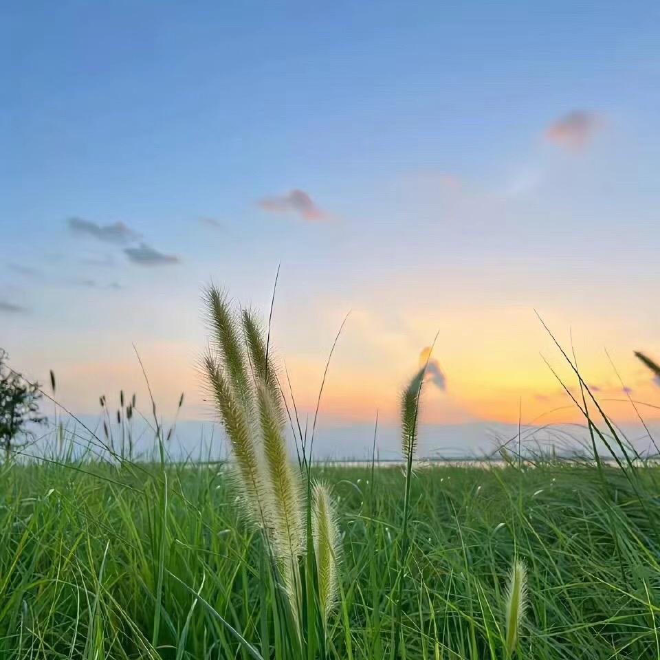 风景秀丽