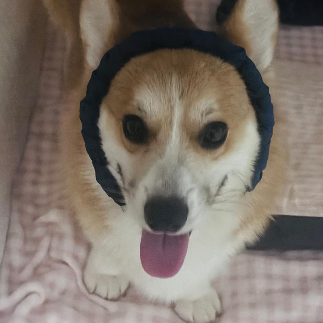 我是最幸福的小孩