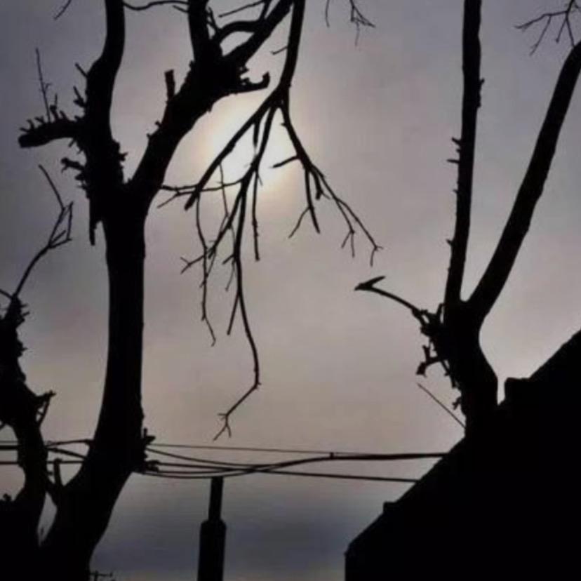 月亮🌙