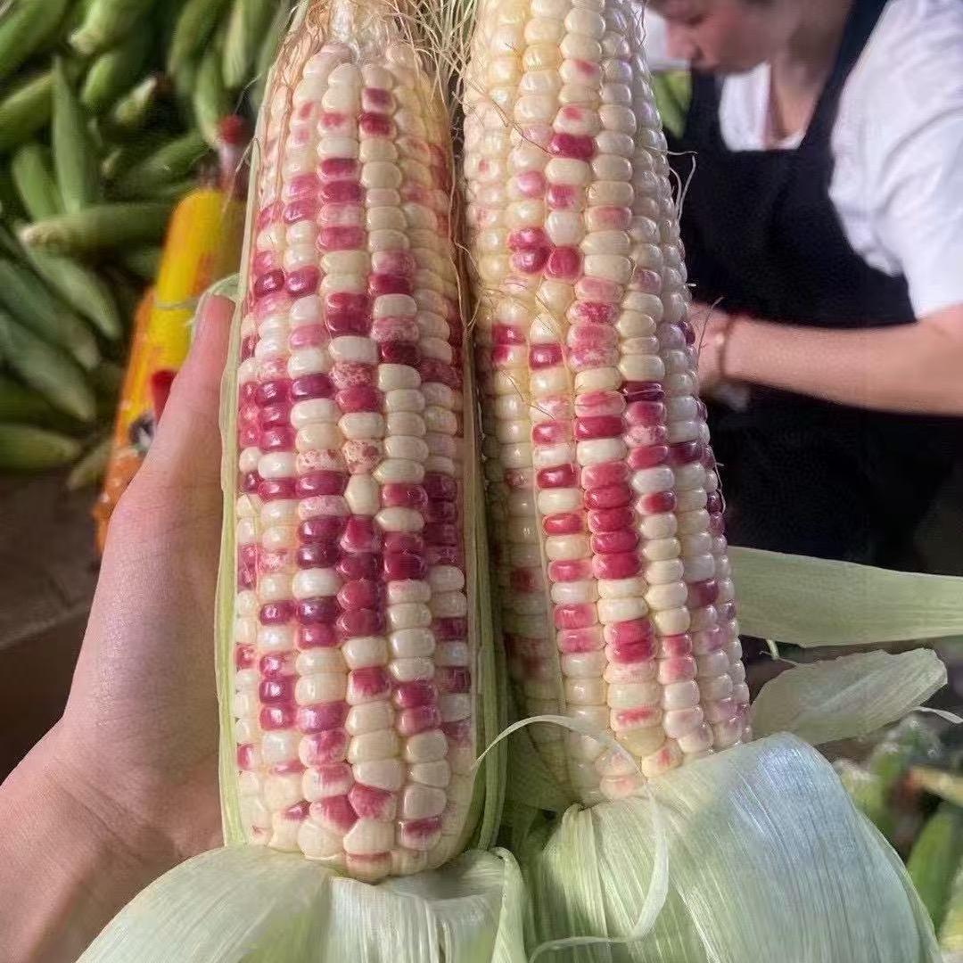 鲜果波波脆