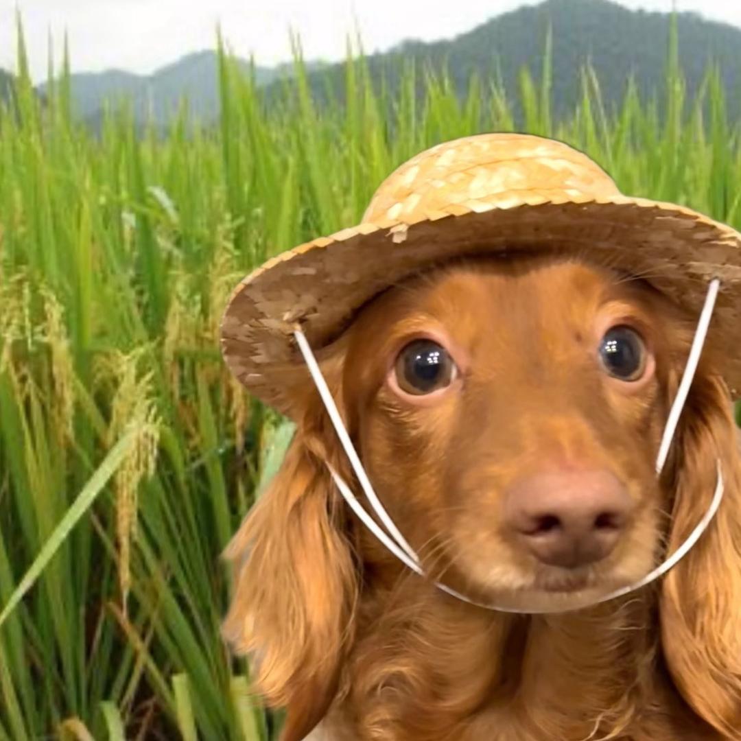 指缝中缱绻（小小号版）