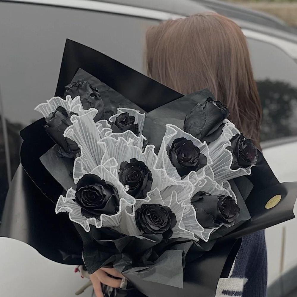 今天起风了吗？