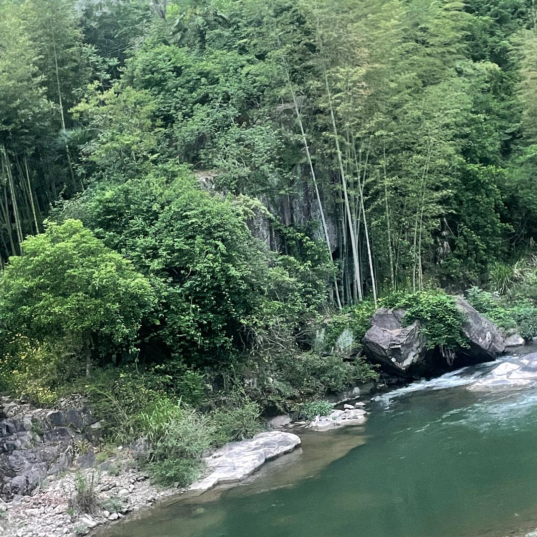 yo-yo《橱窗有好物》